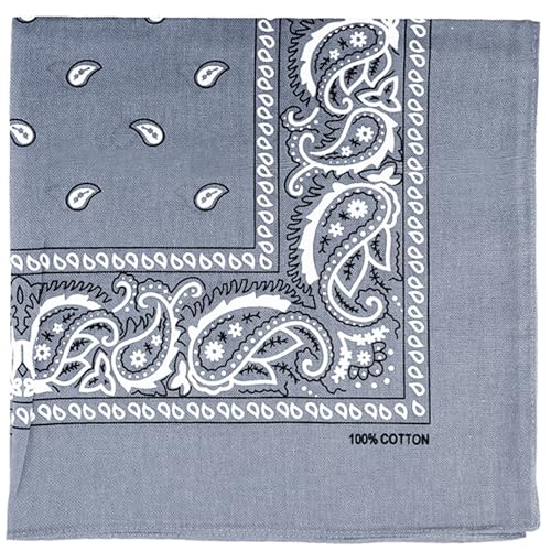 Raylarnia Bandana Multi-Purpose 100% Cotton Headbands for Women, 22 inch Paisley Cowboy Bandanas for Men - Image 1
