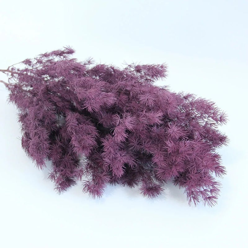 Bluejw Dried Asparagus Fern Bouquet - Natural Preserved Flowers, Ming Fern & Pine DIY Floral Arrangement Material for Home Decor & Crafts - Image 1