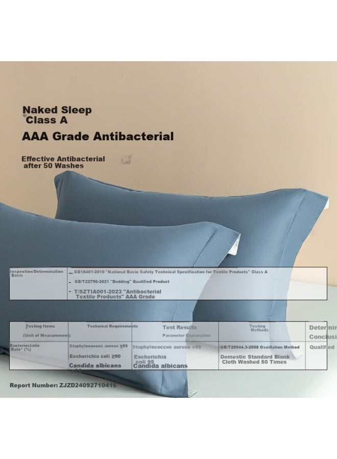 Amor Class A 100-count Long-staple Cotton Brushed Pillowcase - Sapphire Blue + Prussian Blue