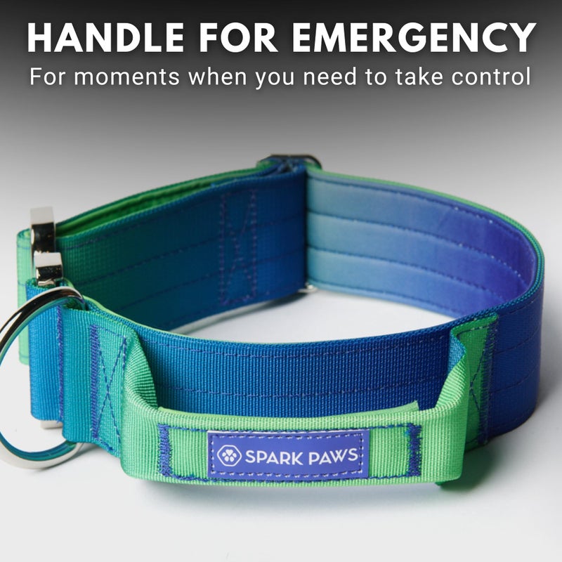 Spark Paws Tactical Dog Collar - Heavy Duty, Premium Quality, Thick and Durable for Large and Medium Dogs - Lime Wave - L - Image 4