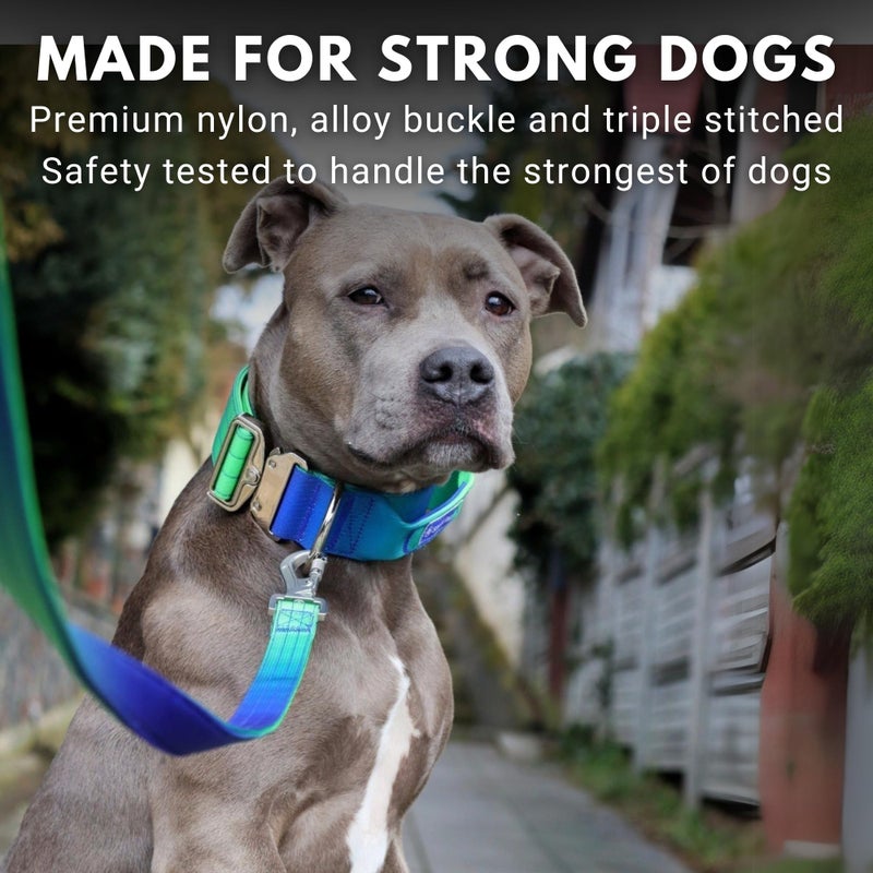 Spark Paws Tactical Dog Collar - Heavy Duty, Premium Quality, Thick and Durable for Large and Medium Dogs - Lime Wave - L - Image 5