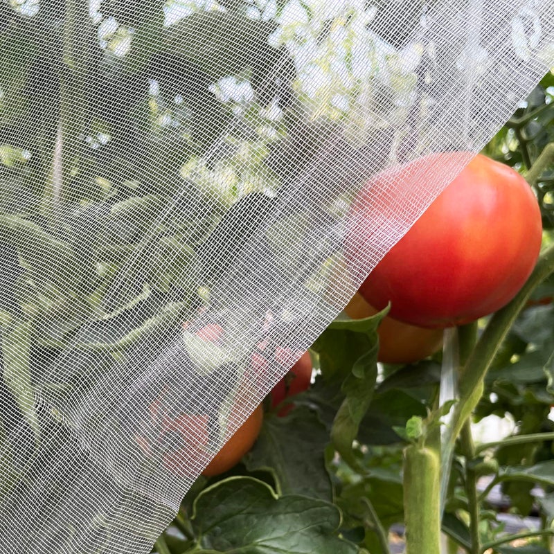 Meuallikit Ultra Fine Garden Netting 4'x10' Plant Pest Barrier Covers Bird Patio Mosquito Netting Tree Vegetable Mesh Protection Netting Fruit Greenhouse Row Nets for Garden - Image 1