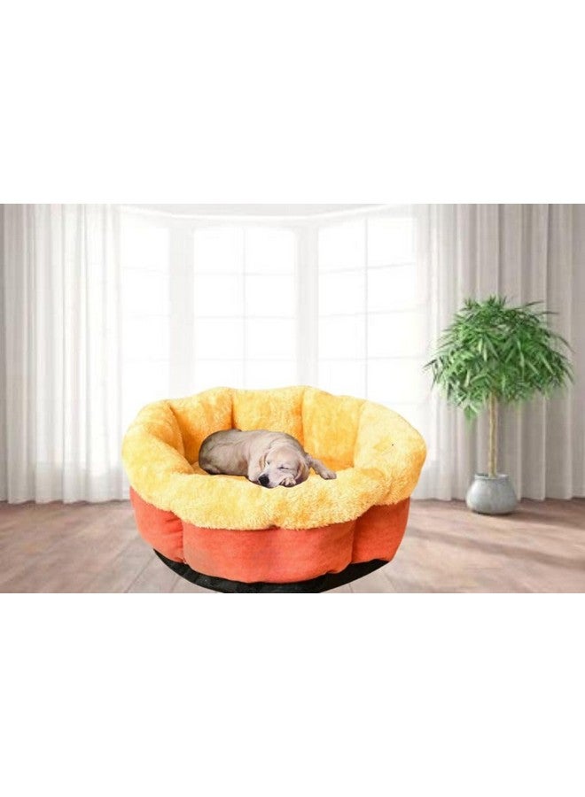 بت سرير للكلاب والقطط، سرير دافئ ومتين للكلاب، سرير قابل للغسل للنوم للجراء، أسرّة مهدئة للقطط للاستخدام الداخلي، - Image 1