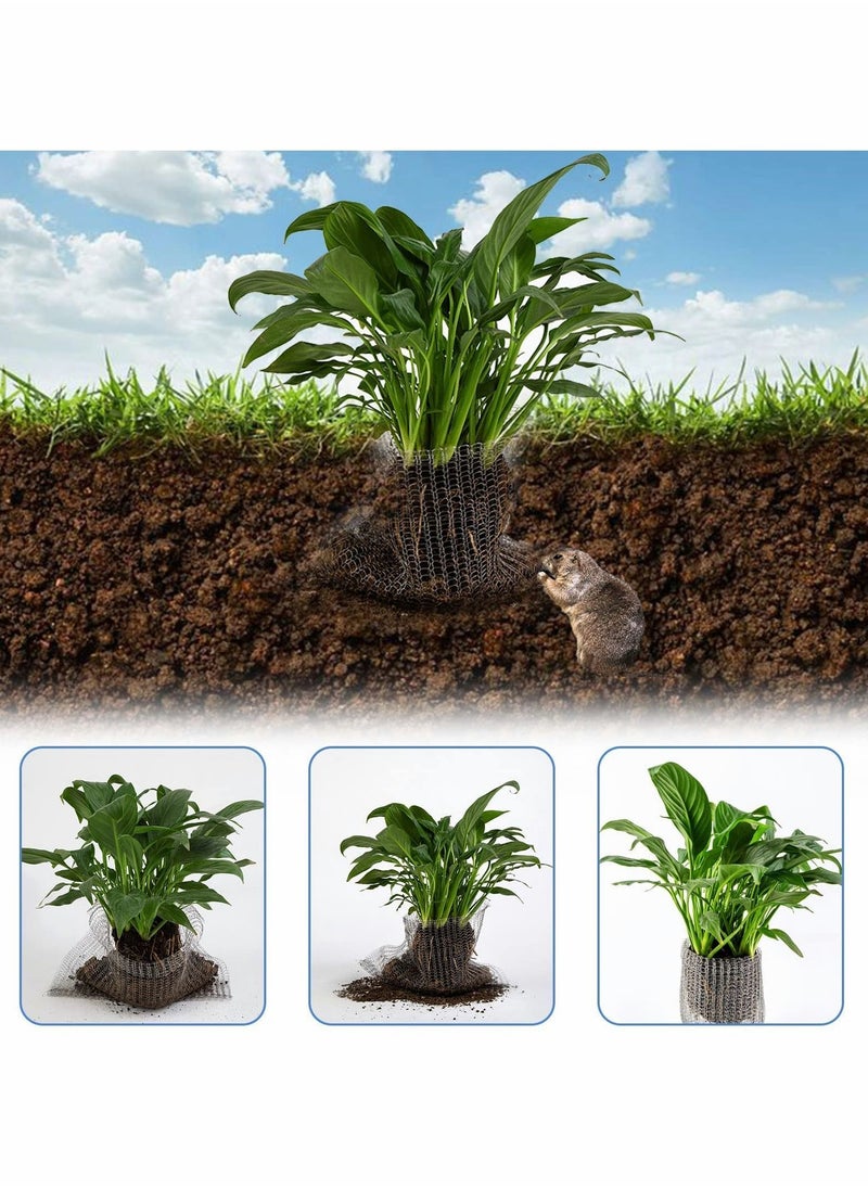 Y&D - Plant Root Protection Net, Protect Plants, Trees, Flowers and Bulbs from Voles,Gophers Moles – A One Time Solution, No Repellent Needed 6 Pack - Image 1