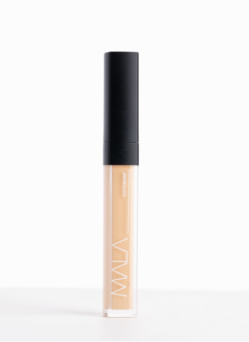 Concealer 12