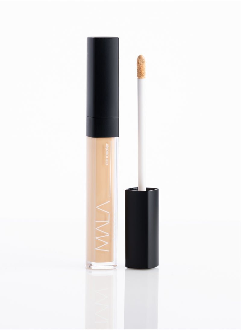 Concealer 12