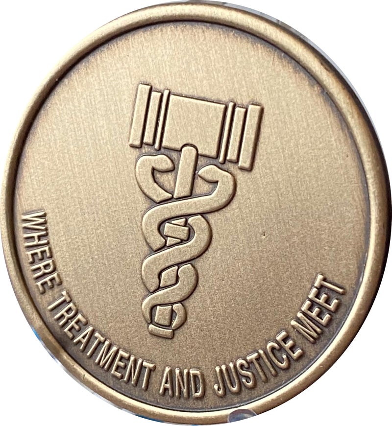 RecoveryChip Bulk Lot of 25 Drug Court Medallions Where Treatment Justice Meet Change Coin - Image 3