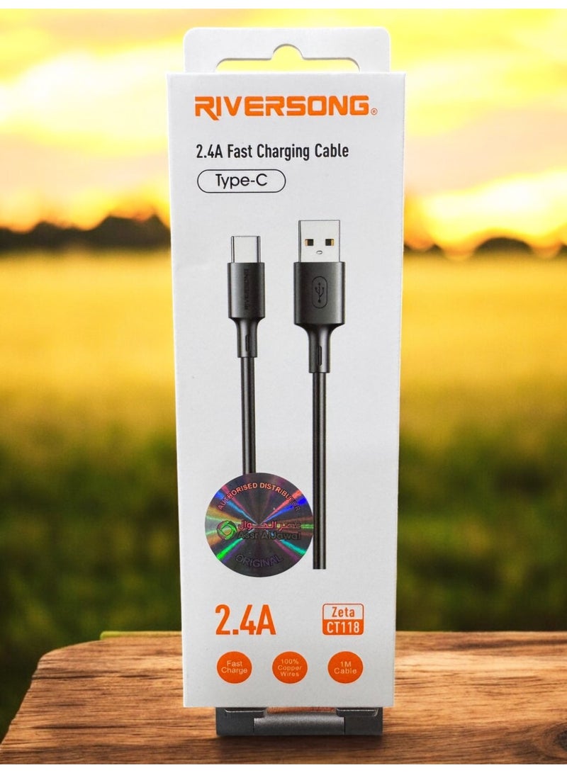 RIVERSONG C-Type Charger - Image 2