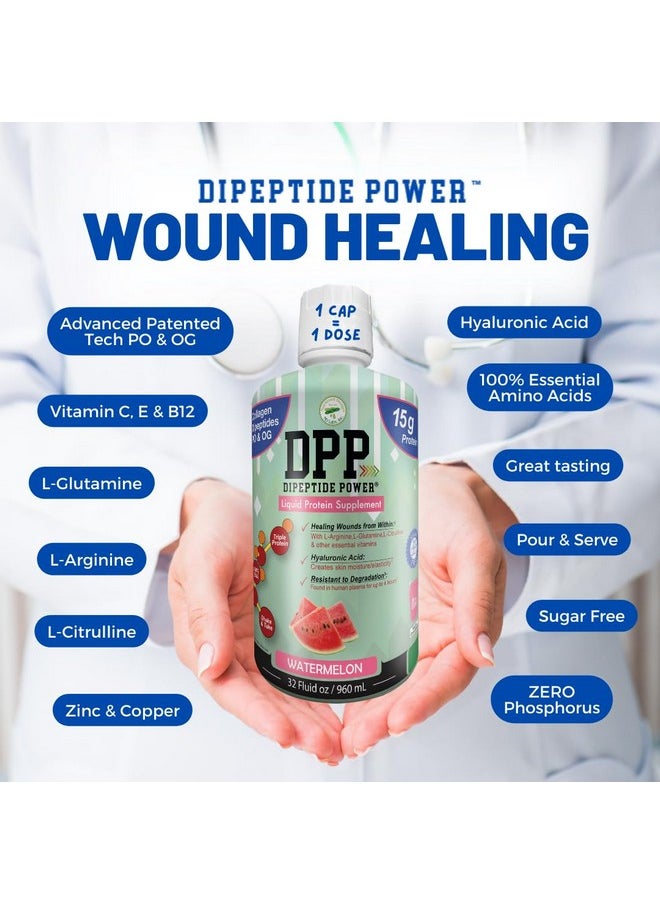 Nutritional Designs Dpp Dipeptide, Wound-Healing Liquid Collagen & Whey Protein Supplement, Sugar-Free, Promotes Healthy Skin & Hair For Men & Women (Watermelon, Bottle 32 Fl Oz)  - Image 3