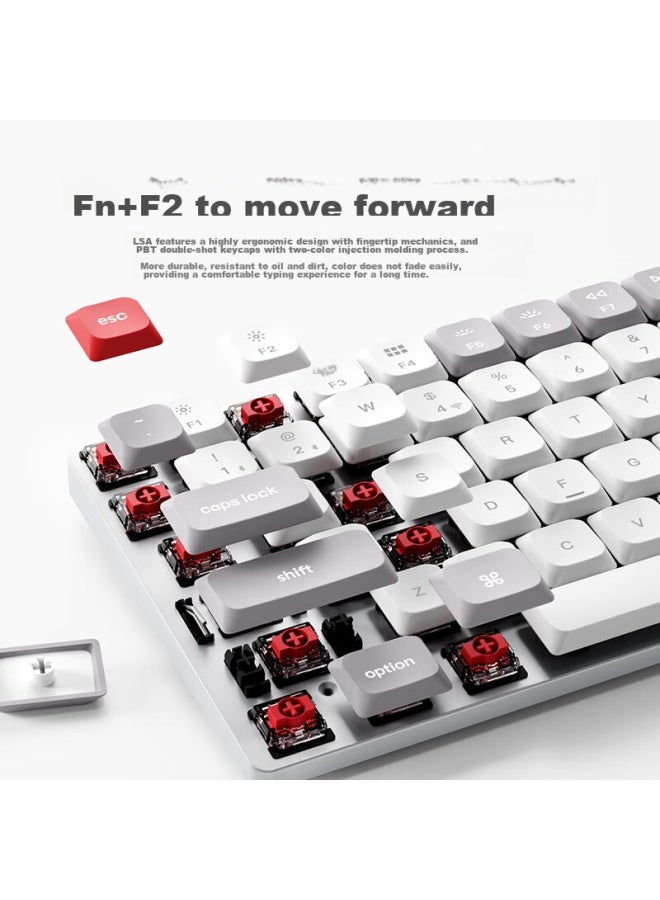 JD.com Jd Jingzao K3max Low-profile Mechanical Keyboard Ultra-thin, Tri-mode Wireless Bluetooth, Gateron 2.0 Brown Switch, 84 Keys For Office, Computer, Gaming, E-sports, Sky Blue And White - Image 5