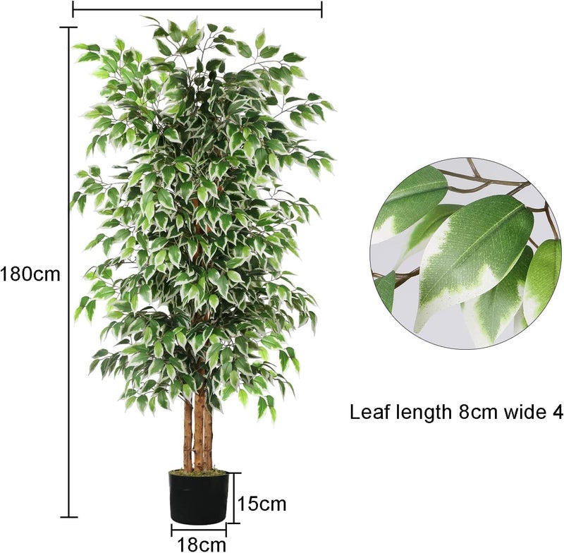 GTIDEA 2 Pcs 6ft Ficus Artificial Trees, Tall Faux Trees Indoor with Natural Trunk and Fake Silk Tree Fake Plants for Home Spring Decor Living Room Outdoor Balcony House Office (Included Dried Moss) - Image 2