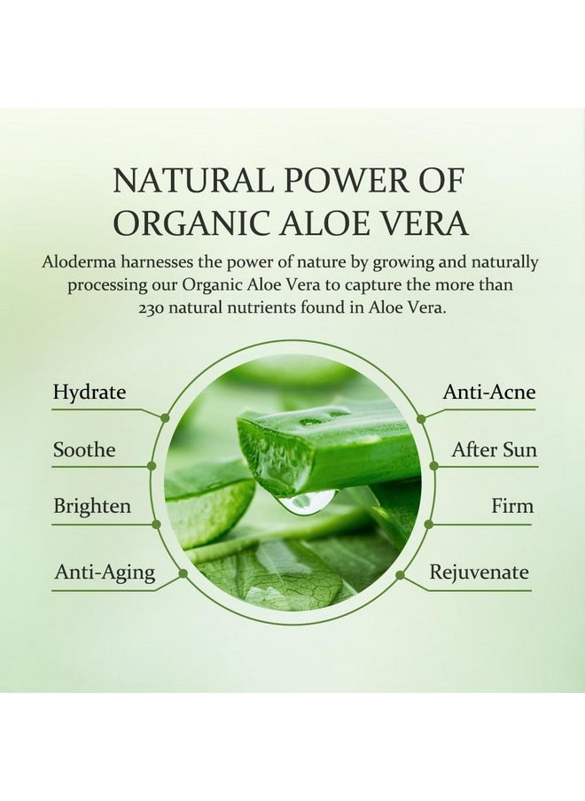 Aloderma Aloderma Firming Sheet Masks with 89% Organic Aloe Vera 5 pcs - Formulated for Age-Defying Results with Hyaluronic Acid & Arginine, Intense Hydration & Nourishment for Plump, Supple, Rejuvenated Skin  - Image 4