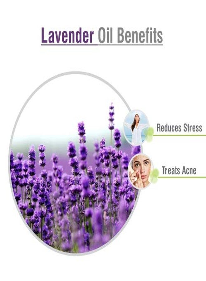 سالفيا زيت اللافندر (Lavandula Angustifolia) العطري النقي والطبيعي 100% - 250 مل - Image 4