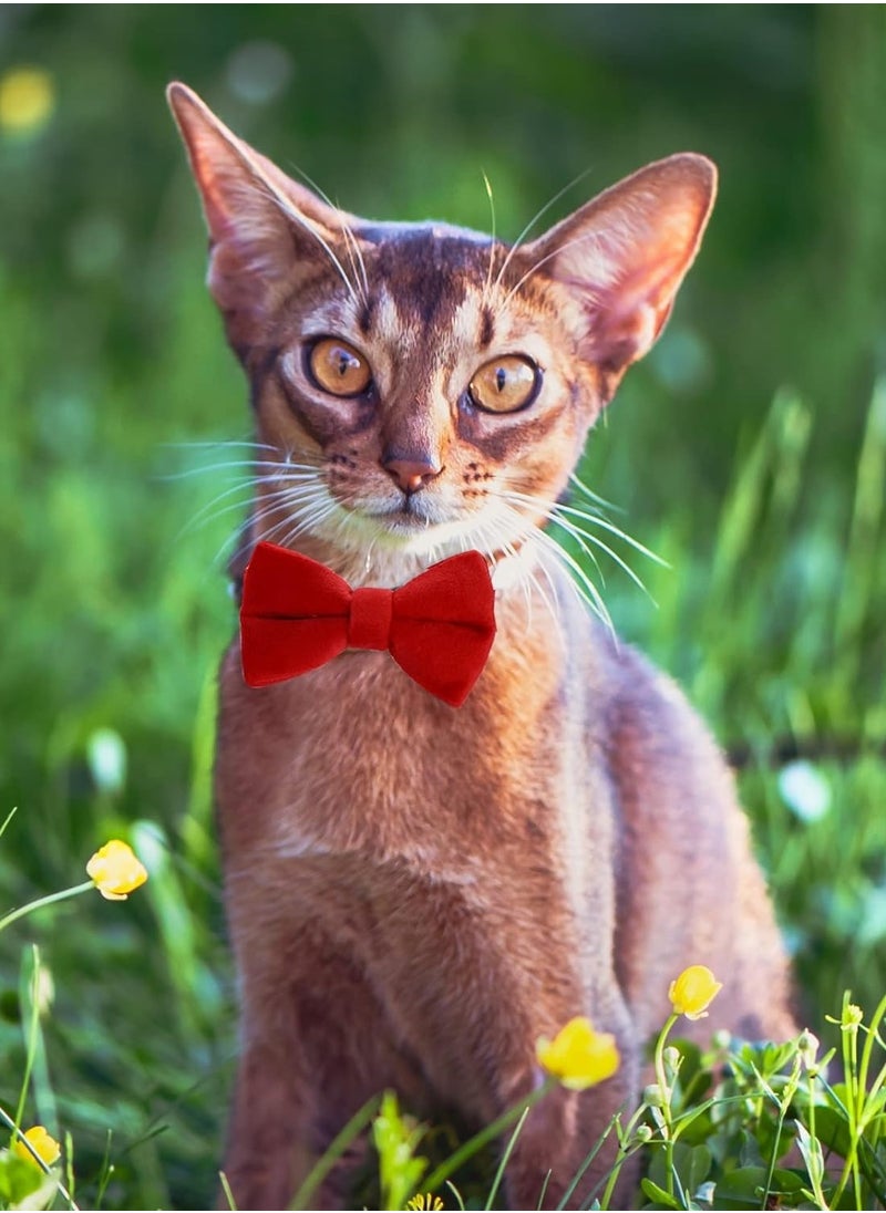 Generic 2 Pcs Velvet Cat Collar with Bell and Bowtie, Adjustable Breakaway Cat Collars Kitten Small Puppy Safety Bow Tie Solid Wedding Basic Color Cat Bow Tie Collar  - Image 5