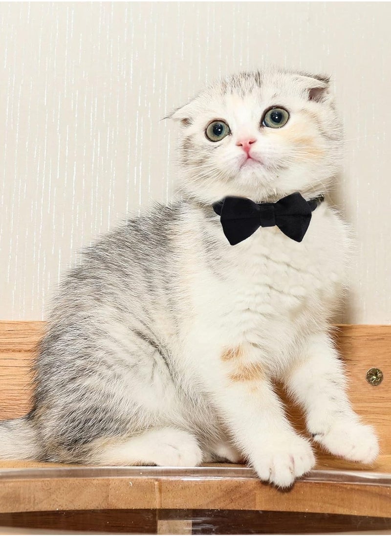 Generic 2 Pcs Velvet Cat Collar with Bell and Bowtie, Adjustable Breakaway Cat Collars Kitten Small Puppy Safety Bow Tie Solid Wedding Basic Color Cat Bow Tie Collar  - Image 3