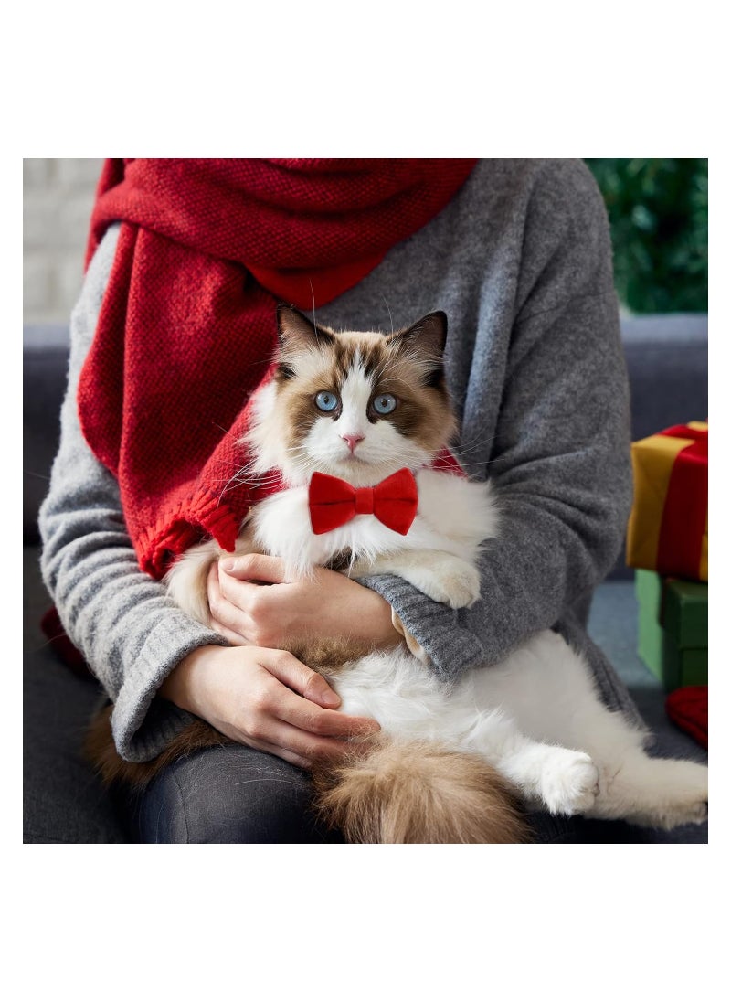 Generic 2 Pcs Velvet Cat Collar with Bell and Bowtie, Adjustable Breakaway Cat Collars Kitten Small Puppy Safety Bow Tie Solid Wedding Basic Color Cat Bow Tie Collar  - Image 2
