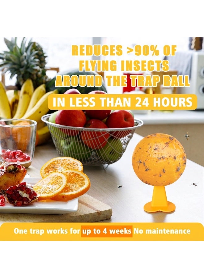 Fly Trap Sticky Balls, Indoor Outdoor Hanging Bug Catcher for Gnats, Fruit Flies, Non-Toxic Disposable Insect Traps for Kitchen, Drain, House Plants 6 PCS - Image 2