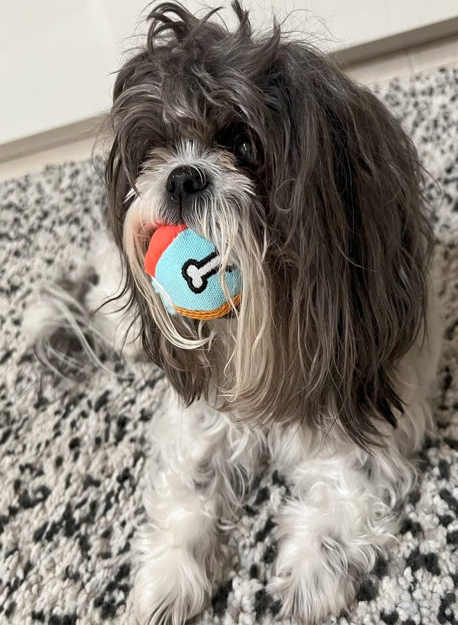 Glory To Dog Small Soft Ball Plush Dog Toy Chewable Plush Squeaky Ball Stuffed with Fluff for Puppies and Small and Medium Breeds 2-Pack - Image 2