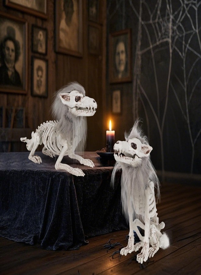 دكتور دودو مجموعة زينة الهالوين من دكتور دودو، قطعتان من هياكل عظمية على شكل ذئب، هياكل عظمية لحيوانات بالحجم الطبيعي قابلة للتحريك، عظام بلاستيكية مع شعر، تماثيل جمجمة ذئب لتزيين الطاولة والفناء والحديقة والحفلات - Image 5