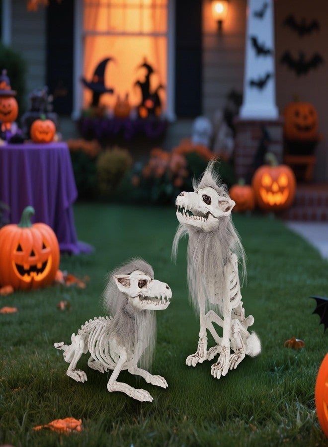 دكتور دودو مجموعة زينة الهالوين من دكتور دودو، قطعتان من هياكل عظمية على شكل ذئب، هياكل عظمية لحيوانات بالحجم الطبيعي قابلة للتحريك، عظام بلاستيكية مع شعر، تماثيل جمجمة ذئب لتزيين الطاولة والفناء والحديقة والحفلات - Image 4