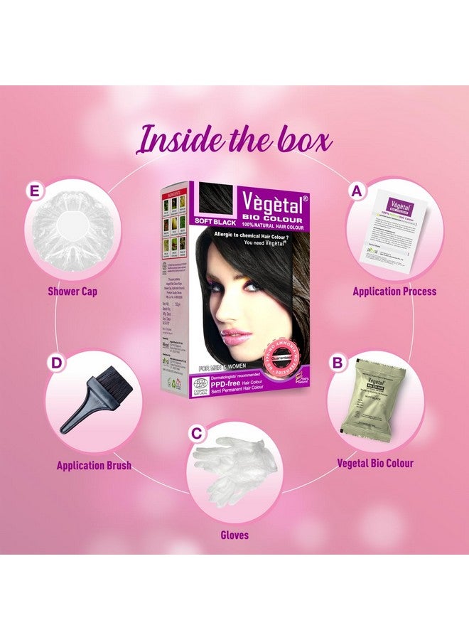 Vegetal Bio Hair Colour Soft Black 50g (Pack of 2) Achieve Natural, Ammonia-Free Hair Color PPD-Free, 100% Herbal Certified Organic for Men & Women UV Protection & Luster Maintenance Complete Kit - Image 5