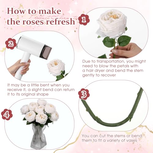 Daifunli 10pcs Real Lifelike Peonies Artificial Flowers Faux Austin Rose with Long Stem Look Real Fake Flower for Christmas Valentines Arrangement Wedding Party Home Kitchen DecorWhite - Image 3
