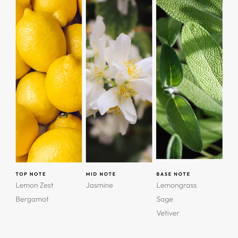 Aroma360  The Bliss Pro-Pod Oil Blend - Hotel Inspired for Luxury Essential Oil Diffusers - Aromatherapy Scent Diffuser Oil - Lemon Zest, Bergamot, and Jasmine - 50 mL, 1.7 fl oz  | Best Price UAE