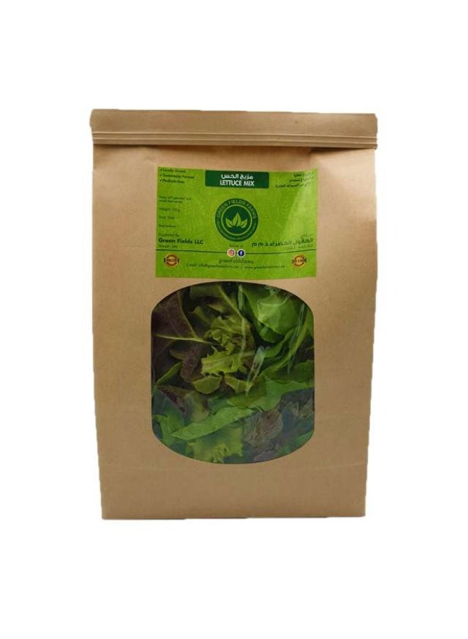 Lettuce Mix Salad, 125g - Eco friendly, UAE