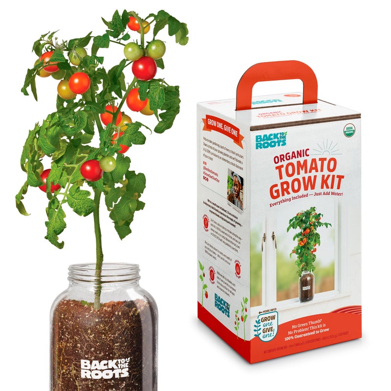 Back to the Roots مجموعة زراعة الطماطم الكرزية العضوية من باك تو ذا روتس - تنمو على مدار السنة، تشمل كل ما تحتاجه للزراعة - Image 1