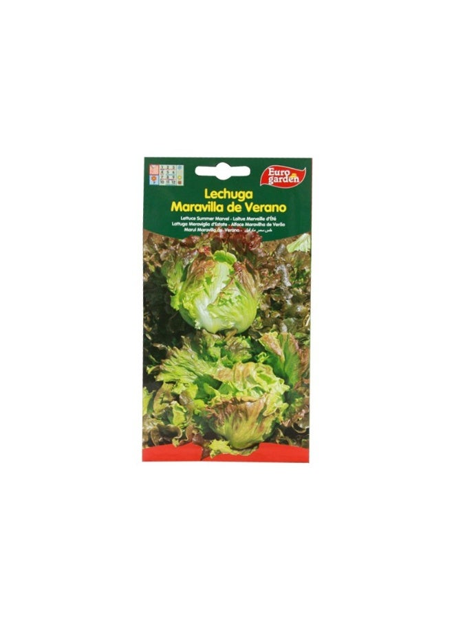 Euro Garden EG Lettuce Seeds