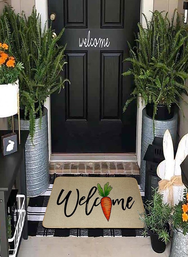 Decorhua Easter Carrot for Front Door Mat Indoor Entrance, Welcome Floor Rugs Outside Entrance Decorative Doormat 17x29 Inch DM134 - Image 3