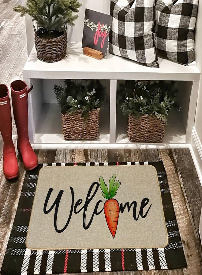 Decorhua Easter Carrot for Front Door Mat Indoor Entrance, Welcome Floor Rugs Outside Entrance Decorative Doormat 17x29 Inch DM134 - Image 5