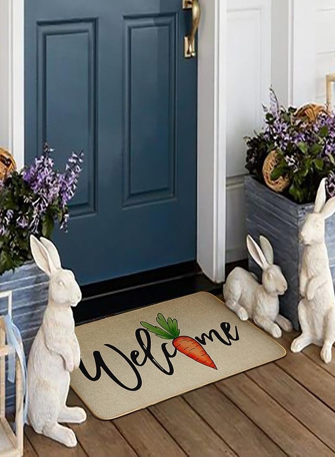 Decorhua Easter Carrot for Front Door Mat Indoor Entrance, Welcome Floor Rugs Outside Entrance Decorative Doormat 17x29 Inch DM134 - Image 2