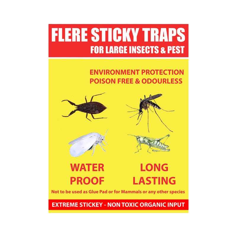 Flere Sticky Insect Trap (Yellow, 6.5 x 8 Inch, Large Size) - Pack of 7 Design May Different - Image 3