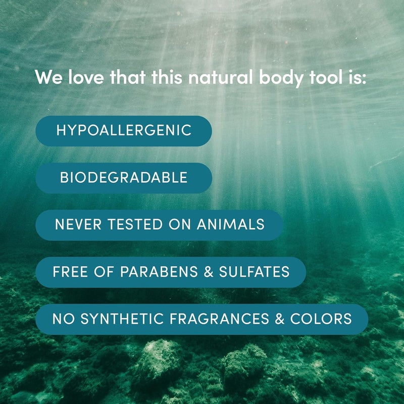 LATHER - Natural Loofah 5-6" (2 Pack) Exfoliating Body Scrubber & Shower Loofah - Gentle Cleansing - Cotton Rope to Hang Dry - Shower Accessories - Plant Based, Vegan, Cruelty Free - Beauty, Skin Care - Image 3