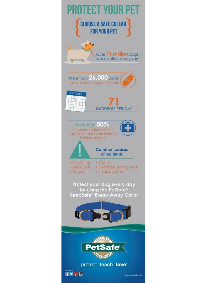 بيت سيف طوق PetSafe KeepSafe القابل للكسر، يمنع حوادث الطوق لكلبك أو جروك، ويحسن السلامة، ومتوافق مع استخدام المقود، وأحجام قابلة للتعديل - Image 4