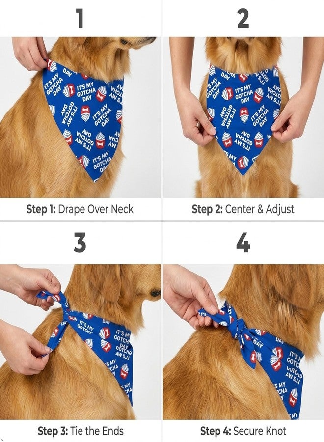 W Brings XL Dog Bandana for Dogs | This Stunning Gorgeous Design Dog Bandana Scarf is Perfect Styling Accessory for Extra Large Dogs. (XL (Extra Large), Gotcha Day) - Image 5