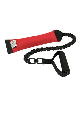 Heavy Duty Bungee Tug Toy For Dog with Foam Grip Handle For Building Muscle and Improving Physique Red Medium - pzsku/ZD62975AA17B4DBFAD3B0Z/45/_/1703657364/e78c685f-4c33-40f0-a4a4-40610d55db35
