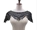ZALALAA Embroidered Floral Lace Neckline Neck Collar Trim Clothes Sewing Applique Edge Black - Image 2