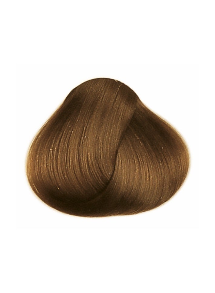 framesi FRAMCOLOR 2001 - Permanent Hair Colouring Cream 60 ML | 6/SB Dark Sandy Blonde - Image 2