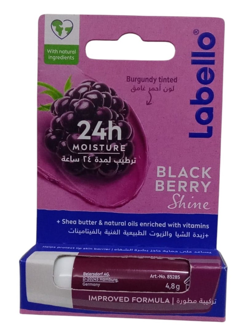 Lip Care Moisturizer with Raspberry and Shea Butter 4.8g