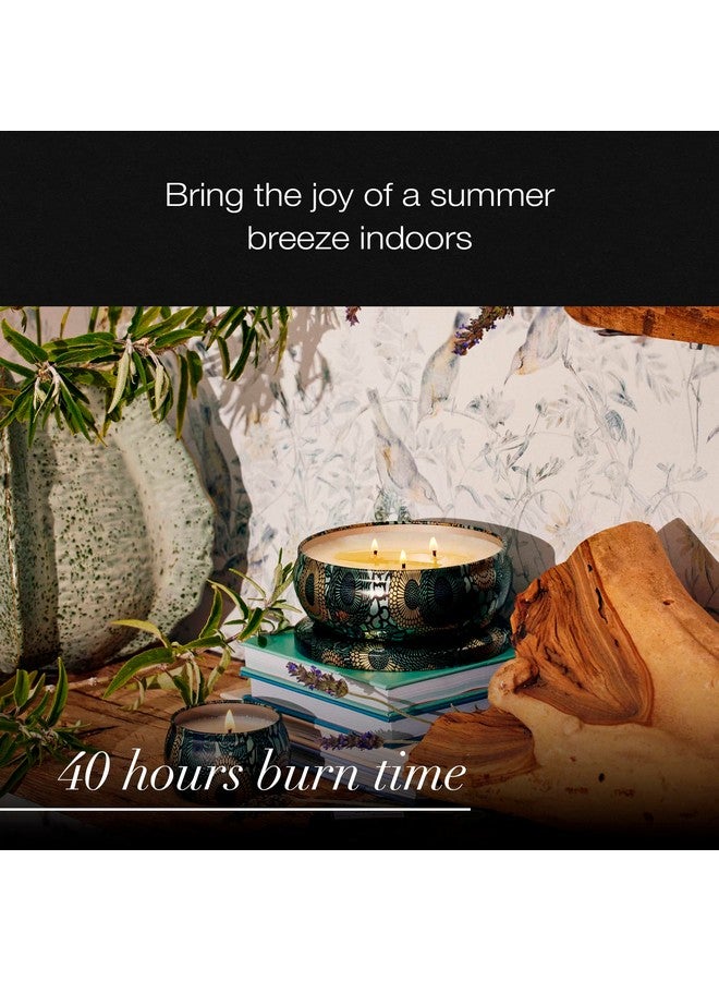 Voluspa French Cade Lavender, 3 Wick Tin Candle, 12 oz, 40 Hour Burn Time, Coconut Wax for Clean Burning, Handcrafted in the USA - Image 5