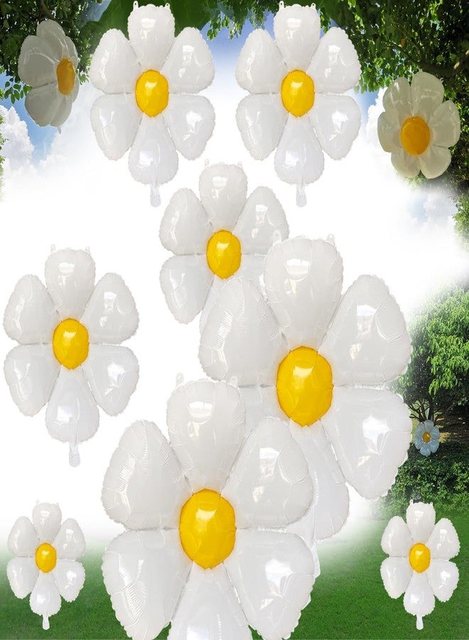 Goping Daisy Balloons 10 pcs White Daisy Flower Balloons Reusable Party Decorations for Birthday Wedding Ceremony Garden Beauty, 2 Extra Huge, 4 Huge, 4 Medium and 10 Fittings - Image 1