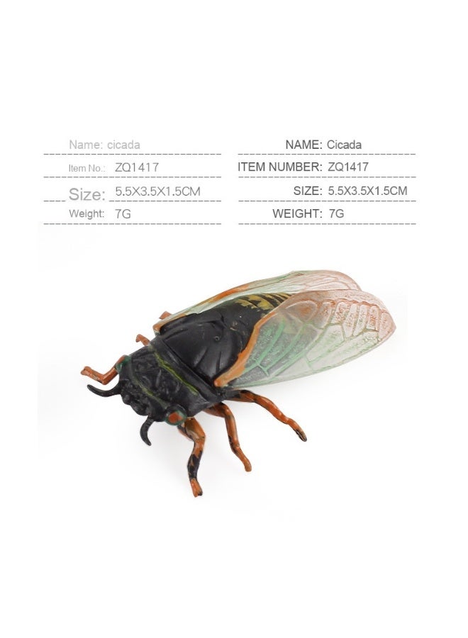 NIBEMINENT Children's Educational Toy Model - Realistic Insect Cicada