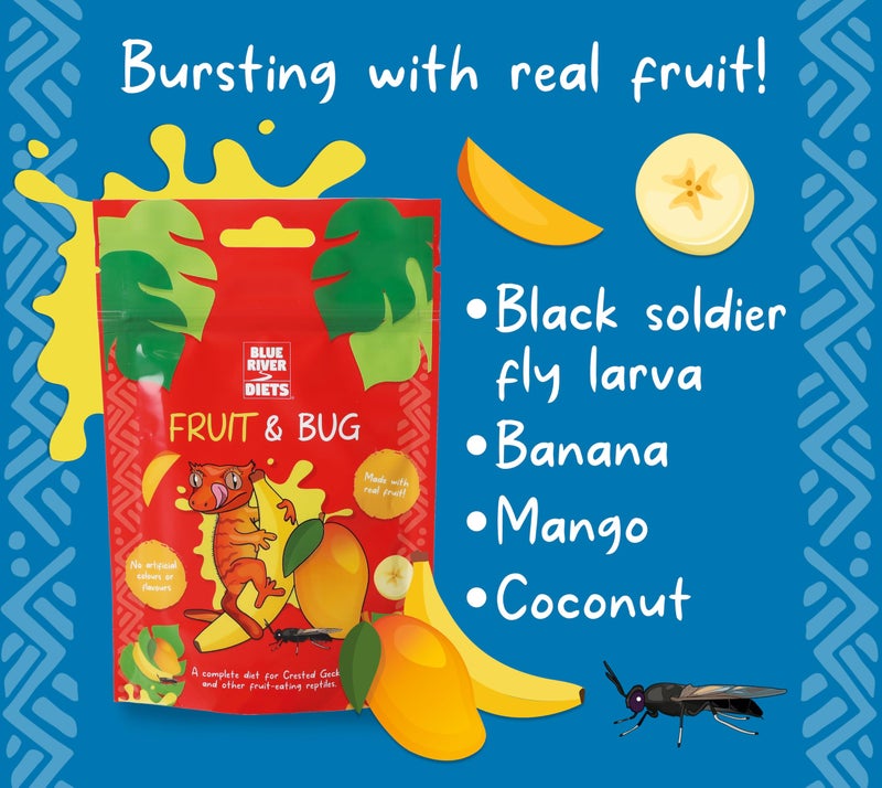 Blue River Diets Crested Gecko Diet | Fruit & Bug | All Natural Low Fat Complete Gecko Food | 2.1oz - Image 3
