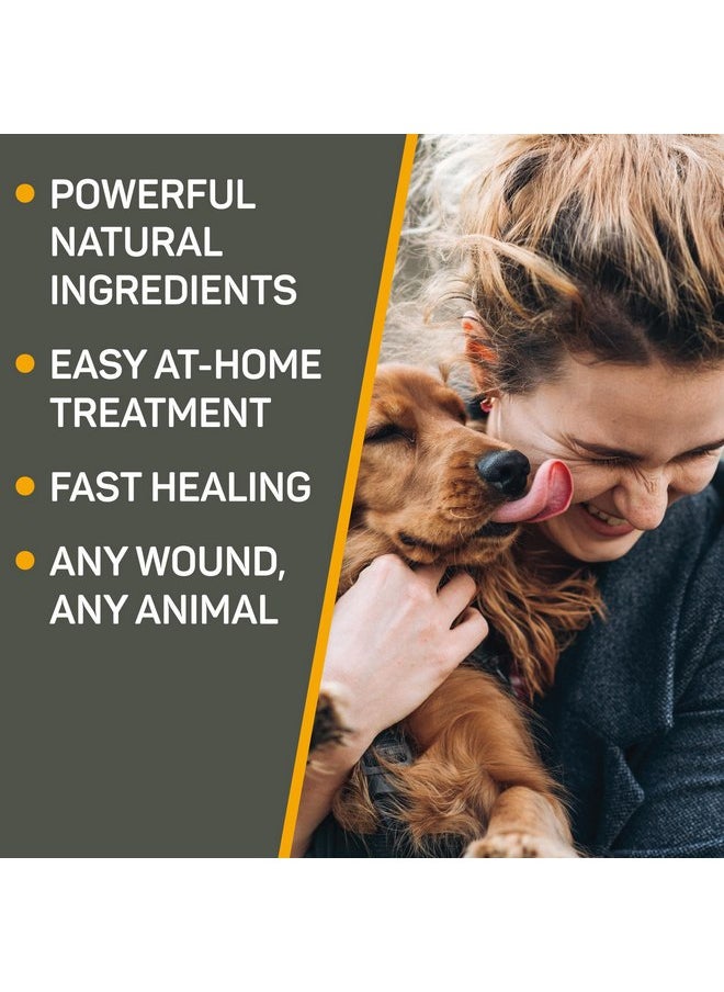 Absorbine - Absorbine Silver Honey Hot Spot & Wound Care Ointment for Dogs, Cats, Small Animals, 2oz Tube - Image 1