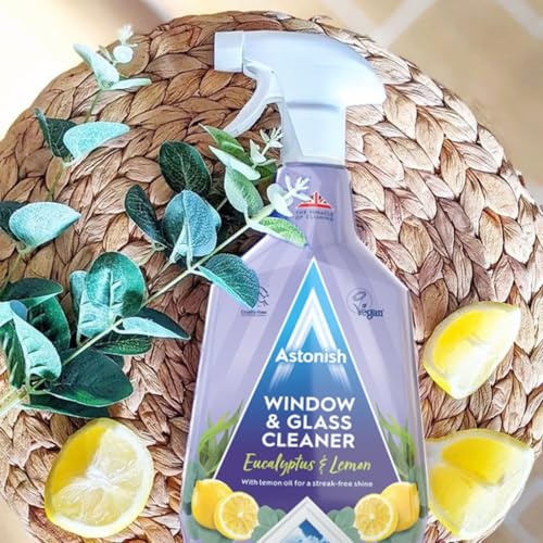 Astonish Window & Glass Cleaner 750ml | With Vinegar for Steak Free Shine - Image 5
