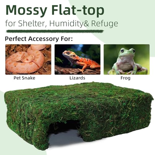 Hollima Mossy Cave Hide for Reptiles, Lizard Moss Hideout with Safe Shelter, Snake Cave Hut for Themed Terrarium Ideal for Gecko Hamster Snake to Rest & Hide - Image 5