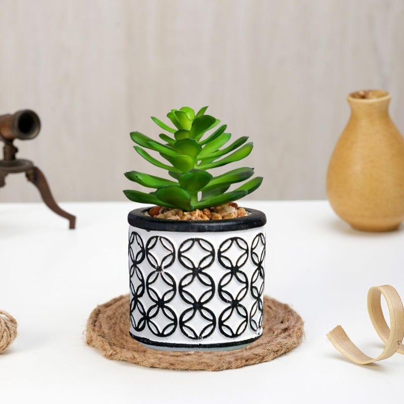 Satyam Kraft SATYAM KRAFT 1 Pc Aesthetic pigmyweeds Succulent Small Mini Plants Faux Flower Plant with Pot Add Charm to Your Home Decor GiftingOfficeRoom Decor Festival Decor  - Image 5