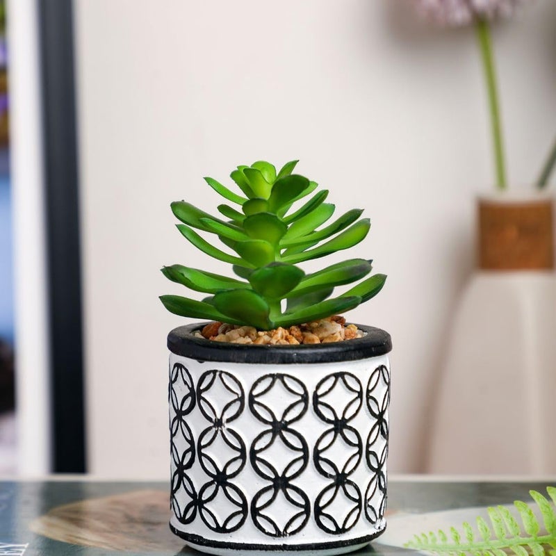 Satyam Kraft SATYAM KRAFT 1 Pc Aesthetic pigmyweeds Succulent Small Mini Plants Faux Flower Plant with Pot Add Charm to Your Home Decor GiftingOfficeRoom Decor Festival Decor  - Image 1